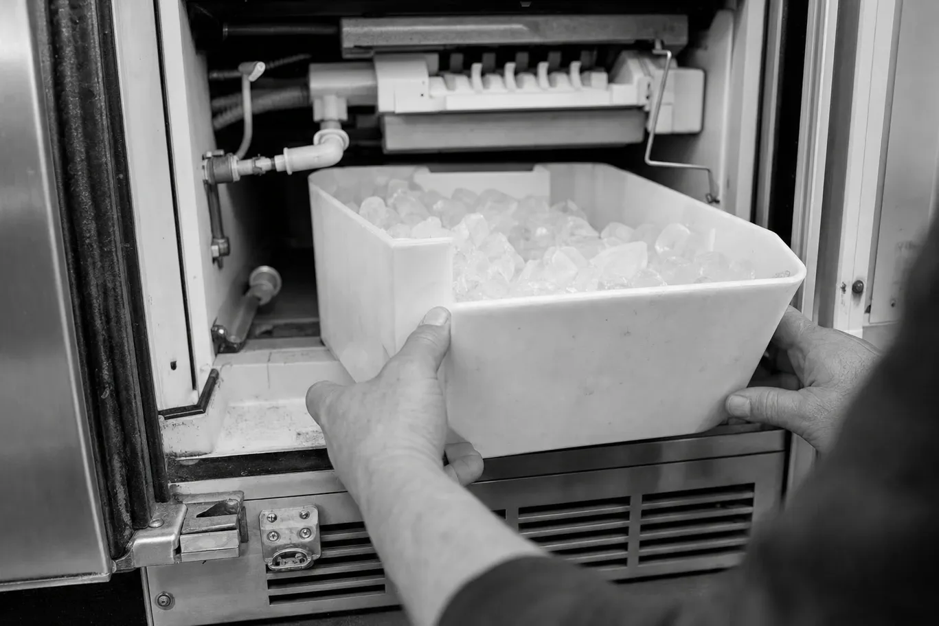 Black-and-white view of two hands lifting a bin full of ice cubes out of an undercounter ice maker, the ice module with its ejector fingers and the fill tubing visible above